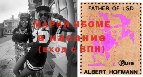 индика Алексин