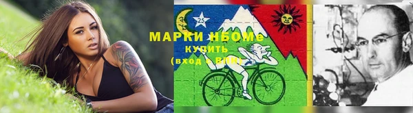 индика Алексин