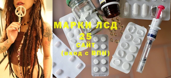 индика Алексин