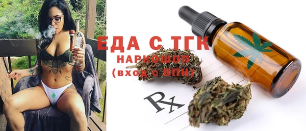 индика Алексин