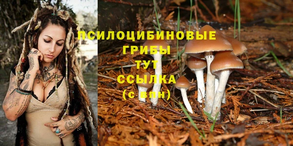 амфетамин Алексеевка