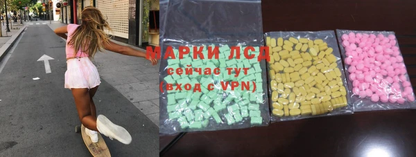 индика Алексин