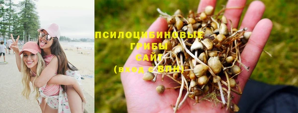 дживик Алзамай