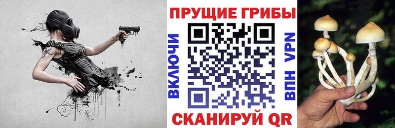 Псилоцибиновые грибы прущие грибы Аткарск
